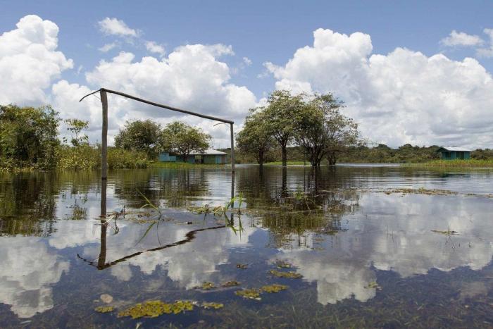 Lío mundial en el Brasil-Argentina: un oficial sanitario interrumpe el partido y lo suspende
