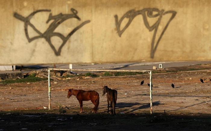 Lío mundial en el Brasil-Argentina: un oficial sanitario interrumpe el partido y lo suspende