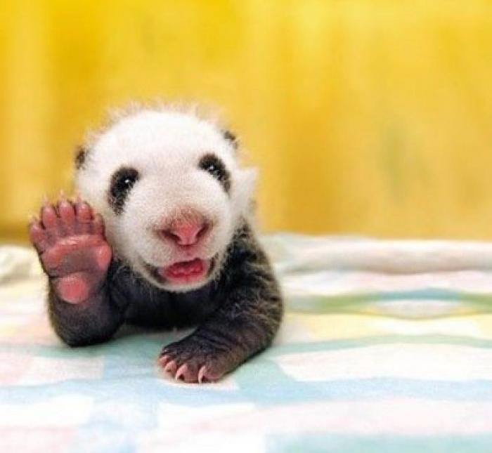 ¿Zapatos? Sí… pero los del otro