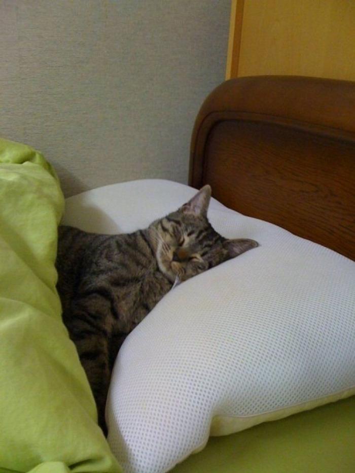 ¿Zapatos? Sí… pero los del otro