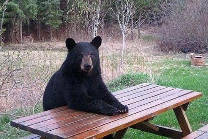 ¿Zapatos? Sí… pero los del otro