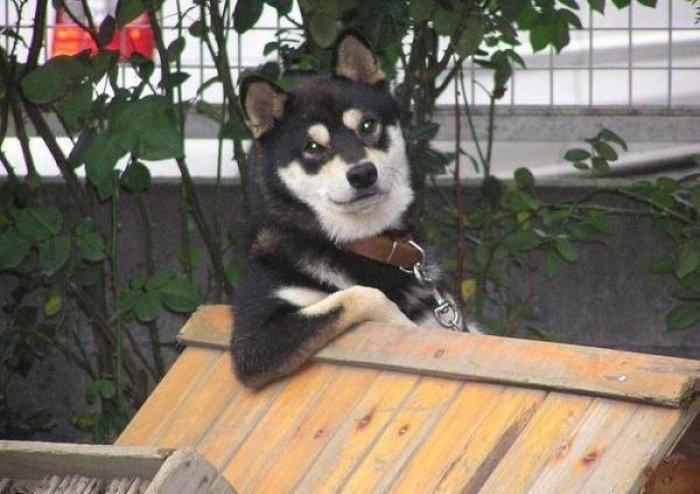 ¿Zapatos? Sí… pero los del otro