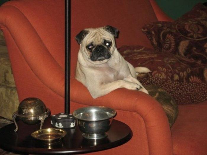 ¿Zapatos? Sí… pero los del otro