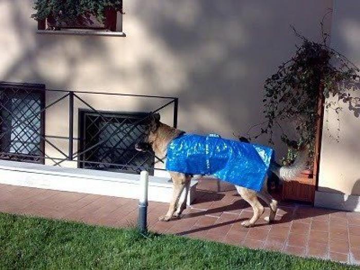 Se le queda atrapado un testículo en una silla... e Ikea le responde en Facebook