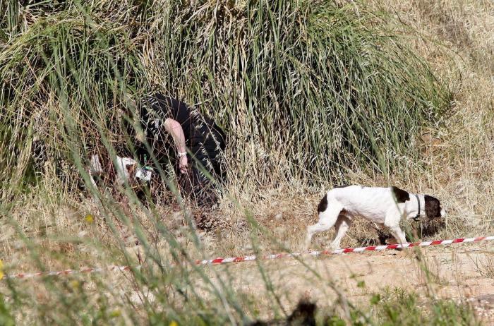 Caso Maddie, más cerca del final tras 15 años de misterio