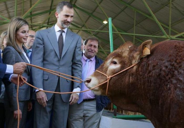 Odón Elorza le suelta esto a una diputada del PP y la reacción de ella es para verla