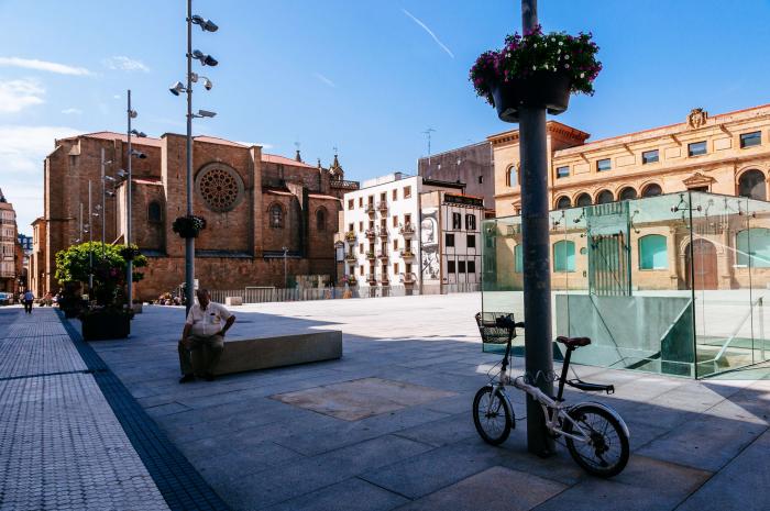 La OMS aconseja quedarse en casa en Navidad y no acudir a reuniones familiares