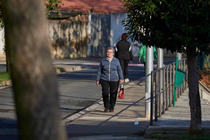 La OMS aconseja quedarse en casa en Navidad y no acudir a reuniones familiares