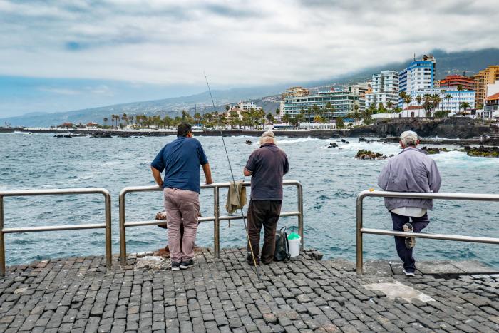 La OMS aconseja quedarse en casa en Navidad y no acudir a reuniones familiares
