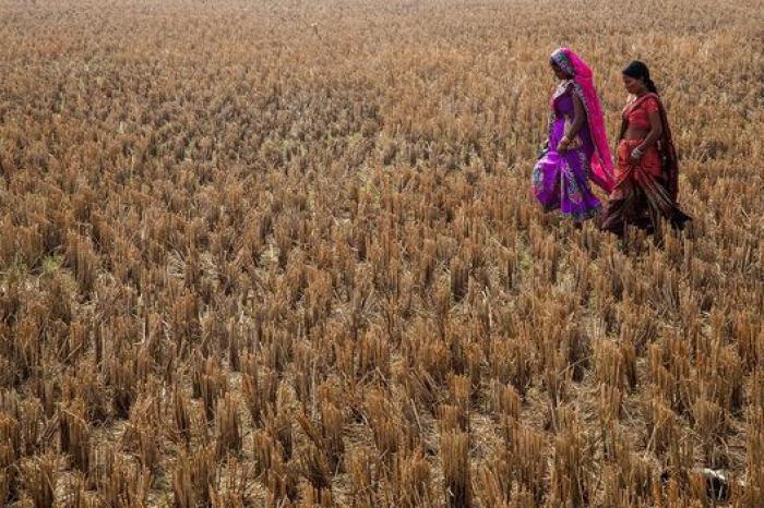Las rosquillas de San Isidro, el aniversario del 15M y otras fotos del viernes