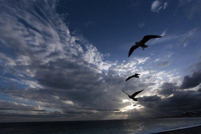 Las rosquillas de San Isidro, el aniversario del 15M y otras fotos del viernes