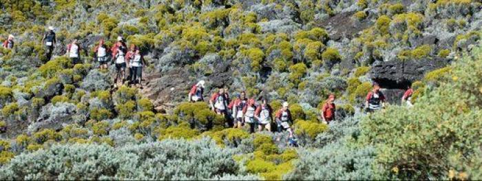 Vuelta al mundo en plena pandemia