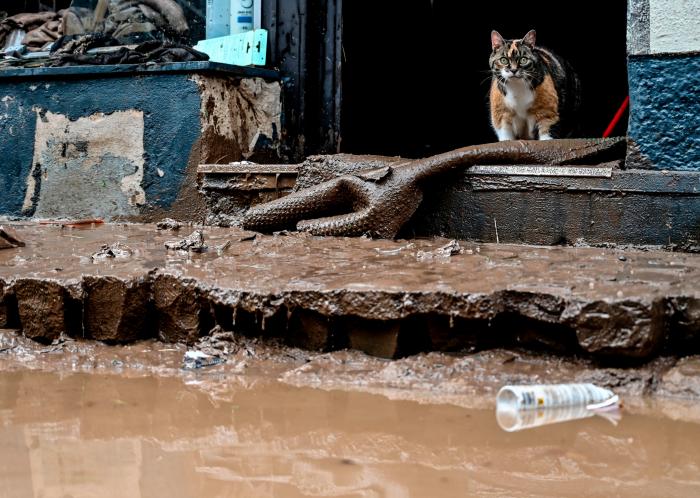 Pillan al potencial sucesor de Merkel riéndose en la visita a las zonas devastadas por las inundaciones