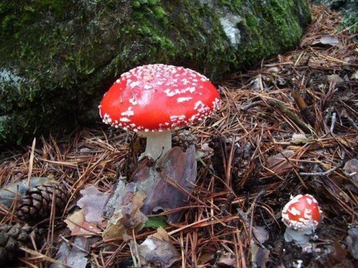 15 escapadas por España que querrás hacer en el puente de diciembre (FOTOS)