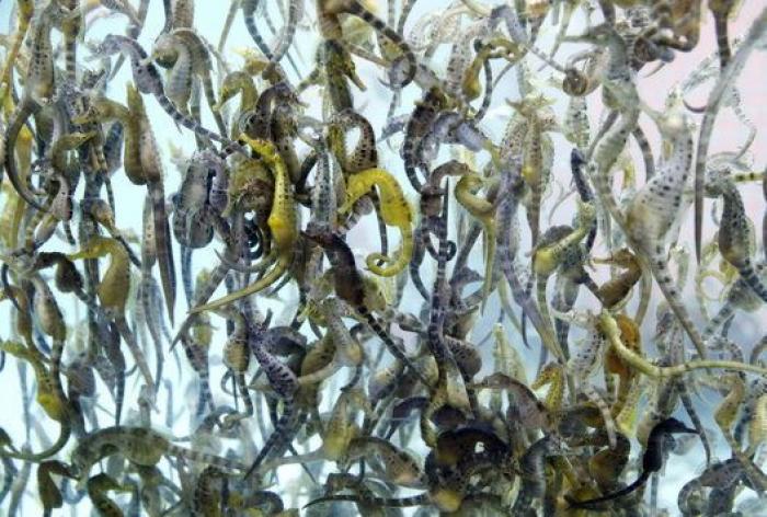 29 imágenes que no te puedes perder esta semana