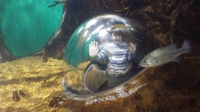 La Policía hiere de bala a un niño autista en EEUU, otro caso sospechoso de abuso de fuerza