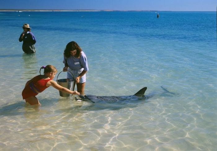 12 playas del mundo muy curiosas (FOTOS)
