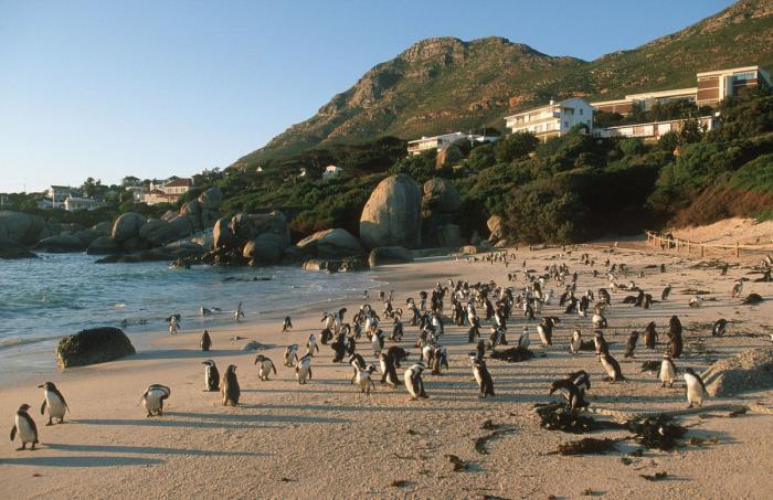 12 playas del mundo muy curiosas (FOTOS)