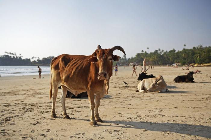 12 playas del mundo muy curiosas (FOTOS)