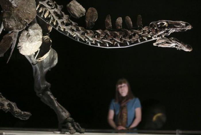 Fotos del día: 12 imágenes espectaculares que deja el miércoles