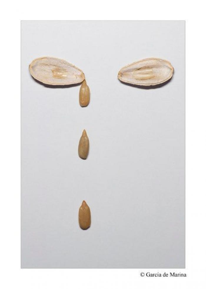 Fotos con doble sentido que te harán pensar