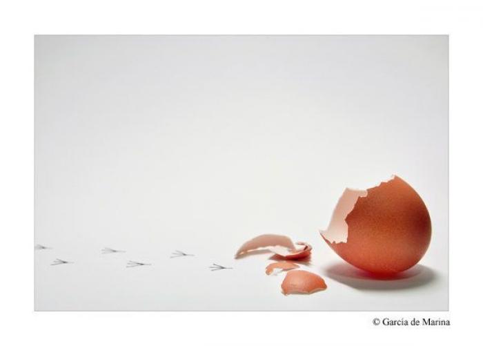 Fotos con doble sentido que te harán pensar