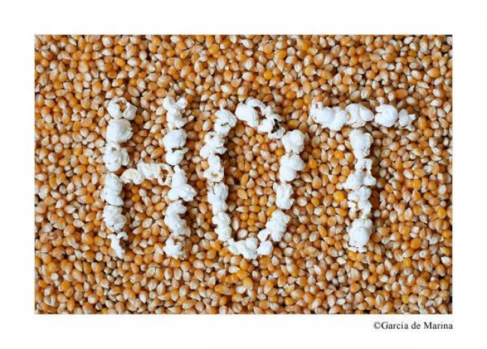 Fotos con doble sentido que te harán pensar