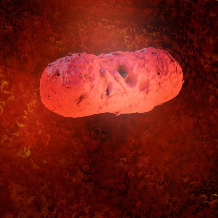 Las depuradoras de agua albergan superbacterias resistentes que suponen "una amenaza mundial"