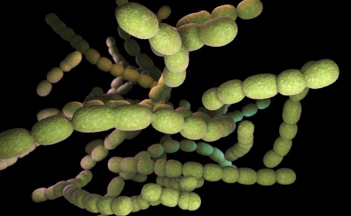 Las depuradoras de agua albergan superbacterias resistentes que suponen "una amenaza mundial"