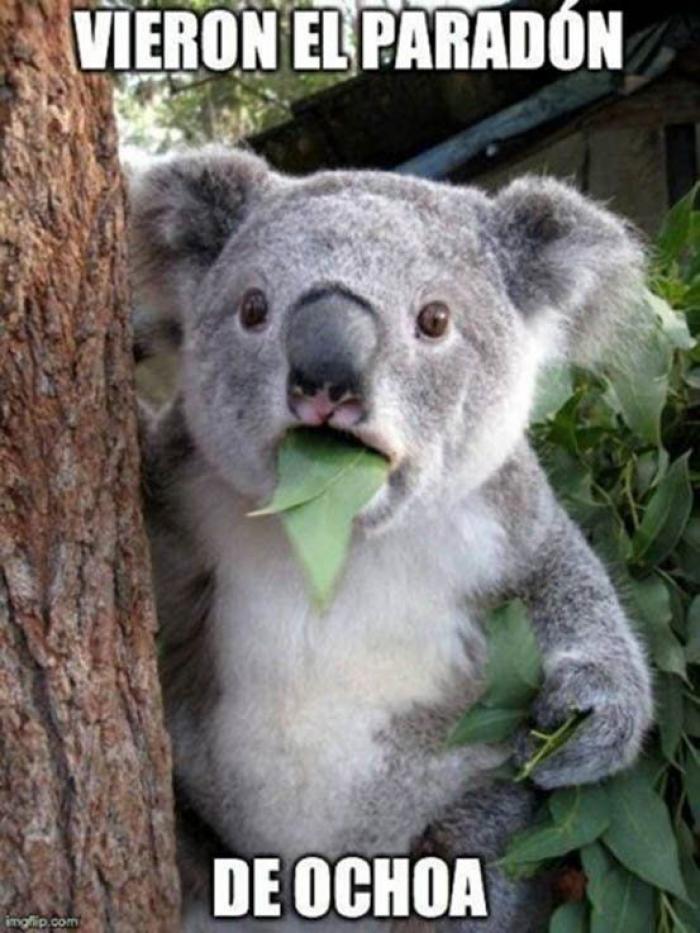 'San Memo Ochoa', el rey de los memes