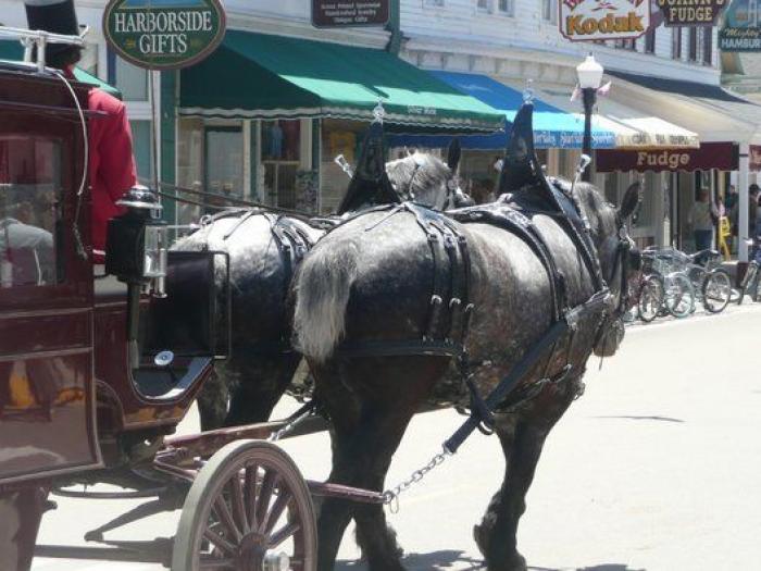 El mundo a tus pies: siete lugares donde todos los días son el 'Día sin coche'