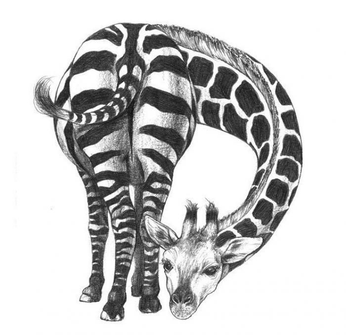 El alfabeto de hombres y animales del japonés Eriko Nakawa (FOTOS)