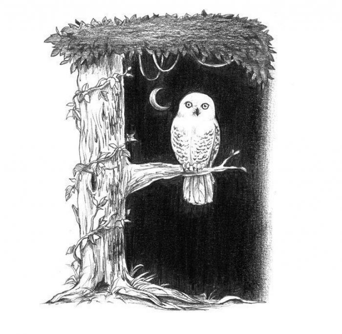 El alfabeto de hombres y animales del japonés Eriko Nakawa (FOTOS)