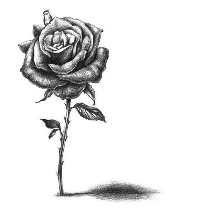 El alfabeto de hombres y animales del japonés Eriko Nakawa (FOTOS)