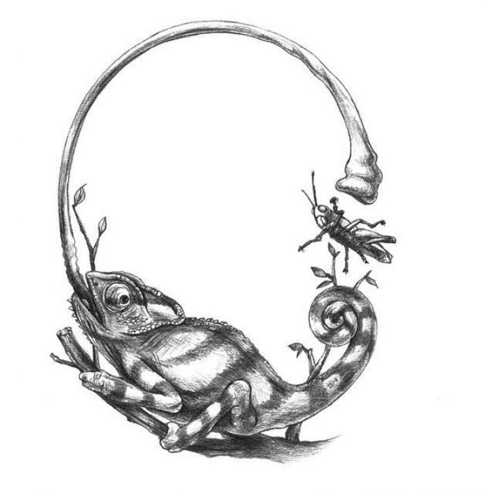 El alfabeto de hombres y animales del japonés Eriko Nakawa (FOTOS)