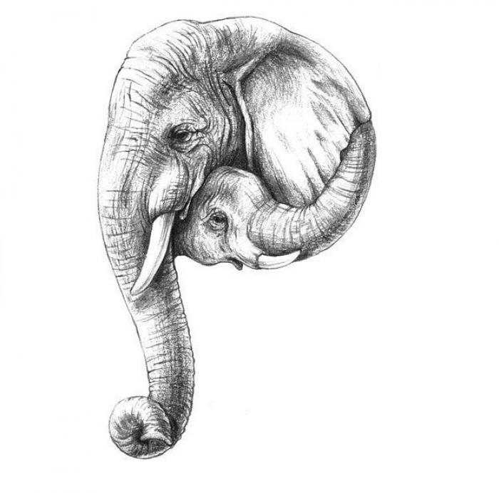 El alfabeto de hombres y animales del japonés Eriko Nakawa (FOTOS)