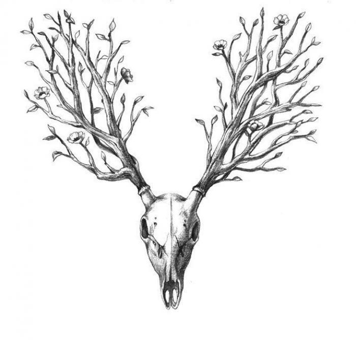 El alfabeto de hombres y animales del japonés Eriko Nakawa (FOTOS)