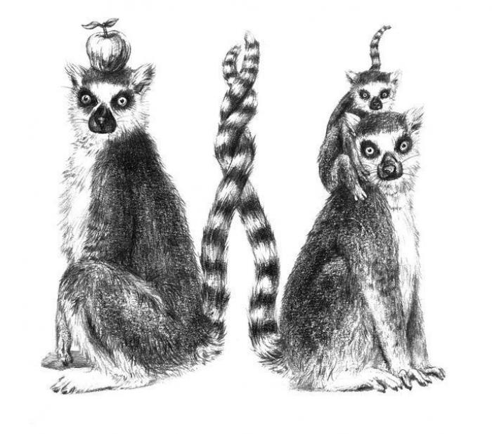 El alfabeto de hombres y animales del japonés Eriko Nakawa (FOTOS)