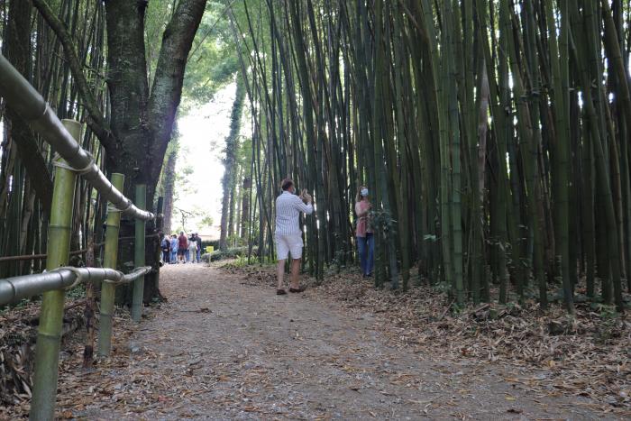 Un 'paseo' por el pazo Meirás (pero no el que Franco querría)