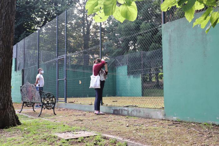 Un 'paseo' por el pazo Meirás (pero no el que Franco querría)