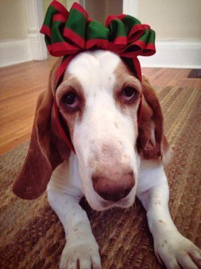 "Mi ex me regaló un llavero": cómo gestionar que no gusten los regalos de Navidad