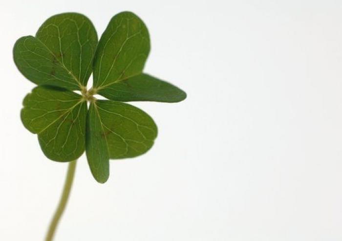 7 cosas que son más fáciles y más difíciles que ganar el Gordo