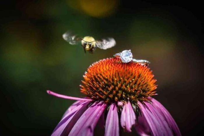 25 fotones de bodas de 2014 que deberías ver