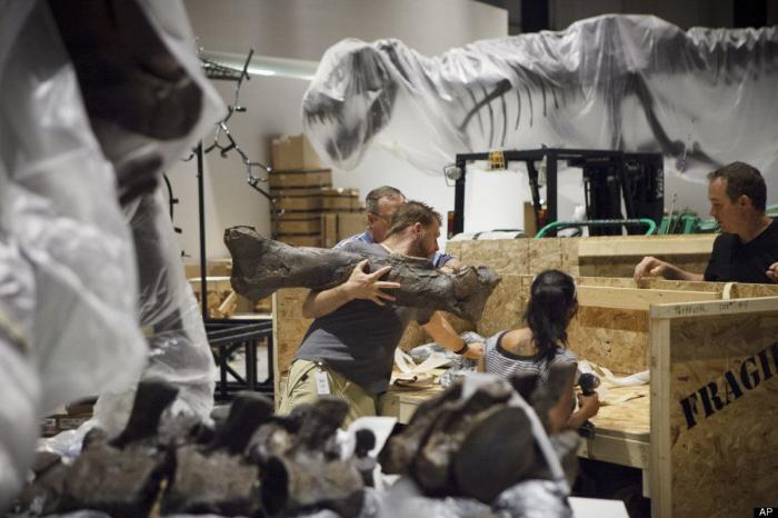 Hallan en desierto de Gobi, en Mongolia, una de las mayores huellas de dinosaurio del mundo