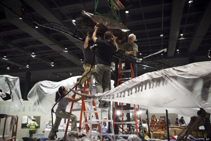 Hallan en desierto de Gobi, en Mongolia, una de las mayores huellas de dinosaurio del mundo