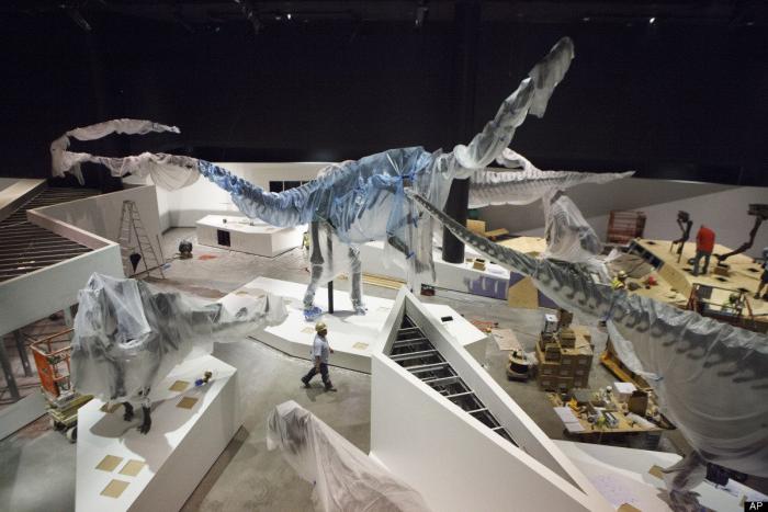 Hallan en desierto de Gobi, en Mongolia, una de las mayores huellas de dinosaurio del mundo