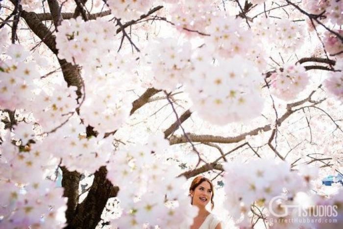 25 fotones de bodas de 2014 que deberías ver