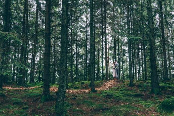 25 fotones de bodas de 2014 que deberías ver