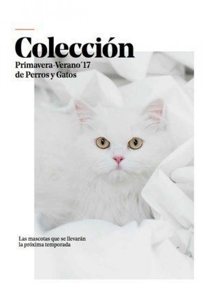 Este original catálogo de moda busca concienciar sobre el abandono de animales