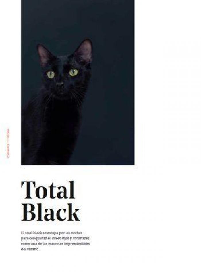 Este original catálogo de moda busca concienciar sobre el abandono de animales